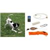 Image 1 : GUN DOG & LENA EARLY: Upland Dog Training Starter Package