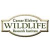 Image 1 : CAESAR KLEBERG WILDLIFE RESEARCH INSTITUTE: Swag Bag Collection
