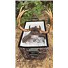 Image 2 : FOREVERLAST: Trophy Cooler