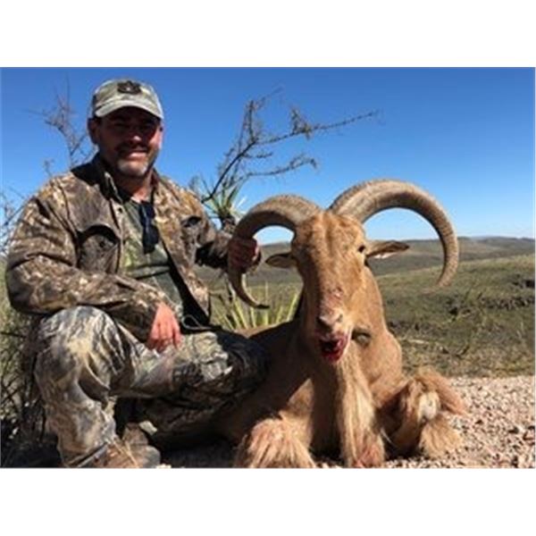 NANCY & NYLE MAXWELL: West Texas Aoudad Hunt at El Cielo Ranch