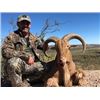 Image 1 : NANCY & NYLE MAXWELL: West Texas Aoudad Hunt at El Cielo Ranch