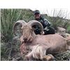 Image 2 : NANCY & NYLE MAXWELL: West Texas Aoudad Hunt at El Cielo Ranch