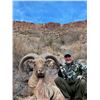 Image 3 : NANCY & NYLE MAXWELL: West Texas Aoudad Hunt at El Cielo Ranch