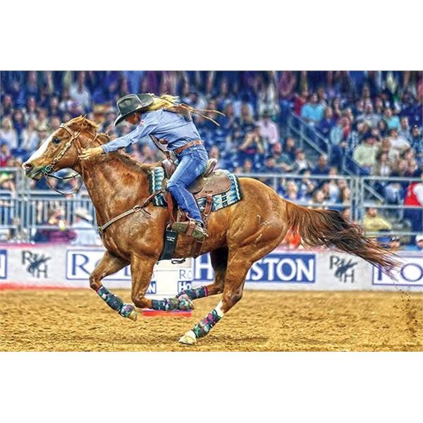 BIRDWELL & CLARK RANCH: Fort Worth Stock Show & Rodeo VIP Experience for Eight
