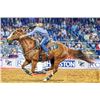 Image 1 : BIRDWELL & CLARK RANCH: Fort Worth Stock Show & Rodeo VIP Experience for Eight