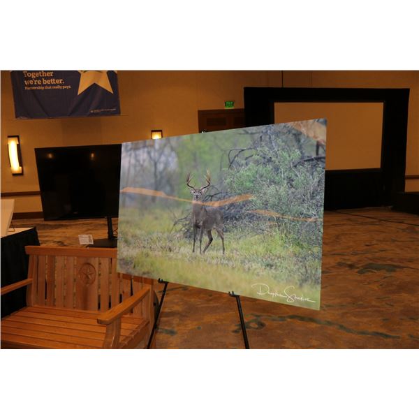 DROPTINES STUDIOS: "Portrait of a Deer" Glass Photo Print