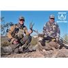 Image 1 : 5-day Arizona Coues Deer or Mule Deer Hunt for Two Hunters