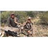 Image 2 : 5-day Arizona Coues Deer or Mule Deer Hunt for Two Hunters
