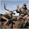 Image 3 : 5-day Arizona Coues Deer or Mule Deer Hunt for Two Hunters