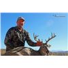 Image 2 : 5-day Mexico Couse Deer Hunt for Two Hunters with Special guest SCI CEO Laird Hamberlin