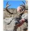 Image 4 : 5-day Mexico Couse Deer Hunt for Two Hunters with Special guest SCI CEO Laird Hamberlin