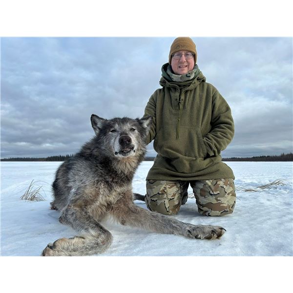 5-day Canada Wolf Hunt for One Hunter