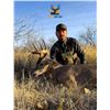 Image 1 : 5-day Mexico Coues Deer or Mule Deer (up to 180â€) Hunt for One Hunter