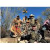 Image 3 : 5-day Mexico Coues Deer or Mule Deer (up to 180â€) Hunt for One Hunter