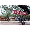 Image 3 : 3-day/2-night Texas Hog Hunt for Two Hunters