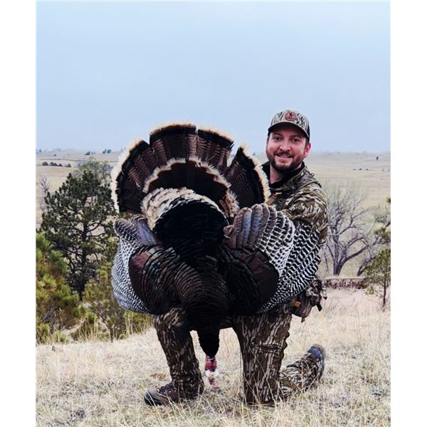 3-day Nebraska Merriam's Turkey Hunt for Two Hunters