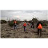 Image 1 : 2-night (3 session) Texas Quail Hunt for Two Hunters