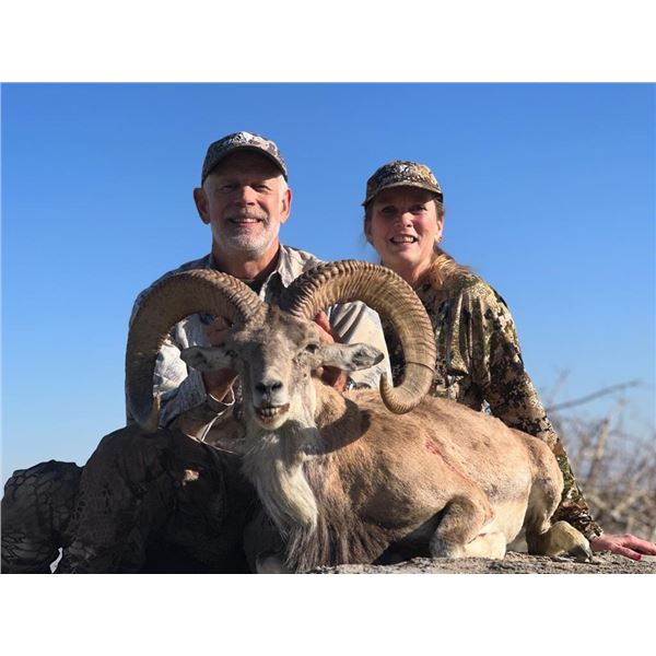 5-day Pakistan Urial Sheep Hunt for One Hunter