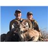 Image 1 : 5-day Pakistan Urial Sheep Hunt for One Hunter