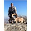 Image 2 : 5-day Pakistan Urial Sheep Hunt for One Hunter
