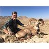 Image 3 : 5-day Pakistan Urial Sheep Hunt for One Hunter