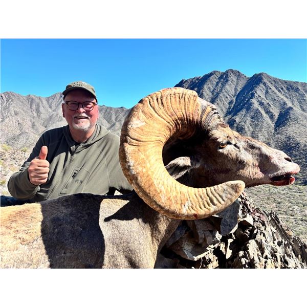 10-day Mexico Desert Big Horn Sheep Hunt for One Hunter