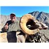 Image 1 : 10-day Mexico Desert Big Horn Sheep Hunt for One Hunter