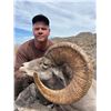 Image 4 : 10-day Mexico Desert Big Horn Sheep Hunt for One Hunter