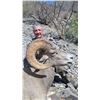 Image 5 : 10-day Mexico Desert Big Horn Sheep Hunt for One Hunter