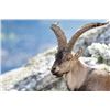 Image 2 : 4-day Spain Southeast Ibex Hunt for One Hunter