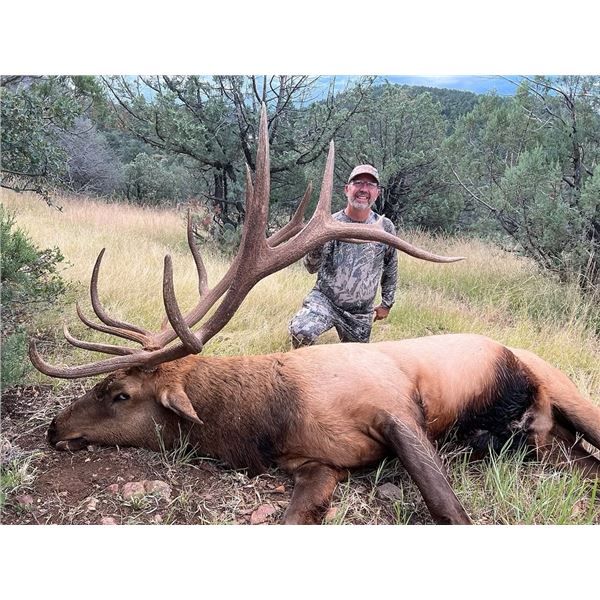 5-day Arizona OTC Elk Hunt for One Hunter