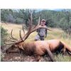 Image 1 : 5-day Arizona OTC Elk Hunt for One Hunter