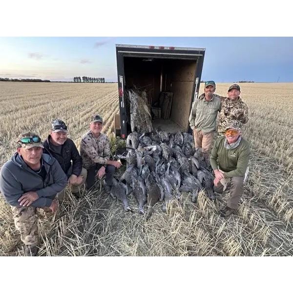 3-day Saskarchewan Bird Hunt for Four Hunters