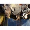 Image 1 : 2-day Arizona Quail Hunt for Two Hunters