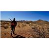 Image 2 : 2-day Arizona Quail Hunt for Two Hunters