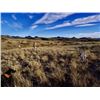 Image 3 : 2-day Arizona Quail Hunt for Two Hunters