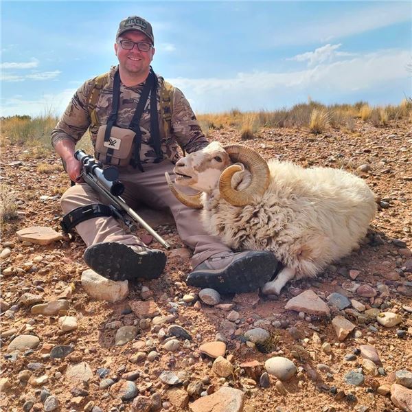 5-day Gold Ram (up to 32-inch) Hunt for One Hunter