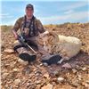 Image 1 : 5-day Gold Ram (up to 32-inch) Hunt for One Hunter