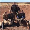Image 2 : 5-day Gold Ram (up to 32-inch) Hunt for One Hunter