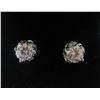 Image 3 : 3 - NEW Platinum Plated 1.0ct Stud Earrings