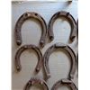 Image 2 : (10) 100 Yard Draft Horse Shoes
