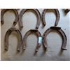 Image 4 : (10) 100 Yard Draft Horse Shoes
