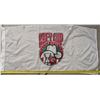 Image 2 : 1993 Flag From the Grey Cup in Calgary 28x56"