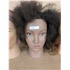 Image 3 : (3) Hairstylists Practice Heads