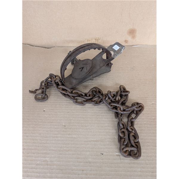 Antique #14 W/ Teeth Wolf Trap