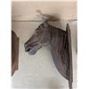 Image 4 : (2) Antique Heavy Iron Entrance Gate Horse Busts 16x11x7"