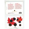 Image 3 : 2010 Canadian Proof Like Set. 7-coin set.
