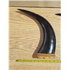 Image 2 : 2 decorative horn statues- 13"H