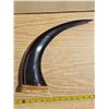 Image 3 : 2 decorative horn statues- 13"H