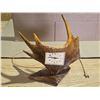 Image 1 : Moose antler clock- untested